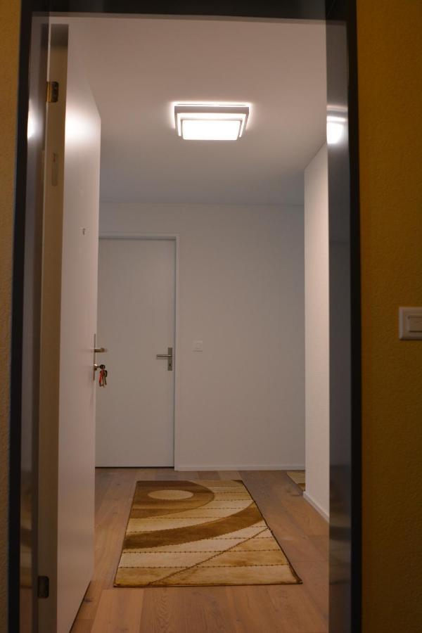 Great New Apartment Surrounded By Nature. Schattdorf Exterior photo